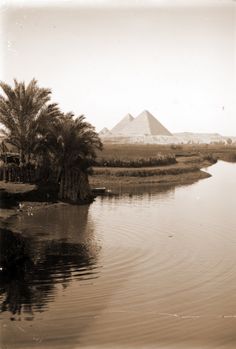 an old photo of the pyramids from across the river, with palm trees in the foreground