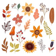 an assortment of flowers and leaves are shown in this graphic art work, which includes different colors