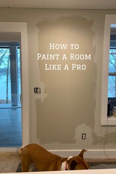 a brown and white dog standing in front of a wall with words on it that read how to paint a room like a pro