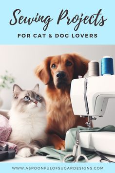 a cat and dog sitting next to each other with the words sewing projects for cat and dog lovers