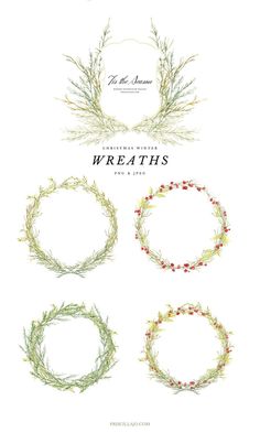 four wreaths with berries and leaves on them, all arranged in different shapes and sizes