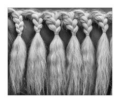 several braids are lined up together on the back of a horse