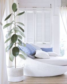 a white bed sitting next to a window in a room with curtains and pillows on it