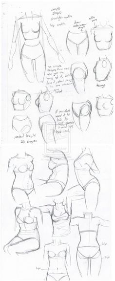 some drawings of different types of body shapes and their features are shown in this image