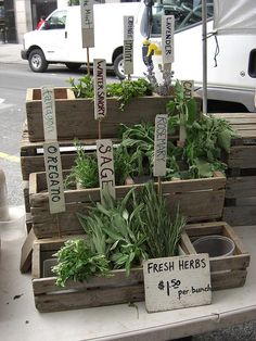 several wooden crates filled with plants on top of a table