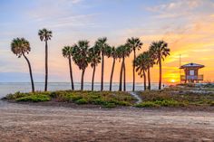 palm trees line the beach as the sun sets