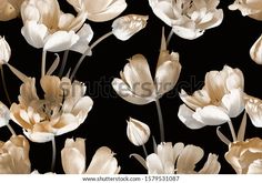 white and beige flowers on black background with space for text or image - stock photo