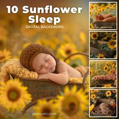 a baby sleeping in a wheelbarrow with sunflowers surrounding it and the words, 10 sunflower sleep digital backgrounds