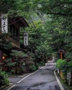 an empty street is lined with trees and buildings in the rain, surrounded by greenery