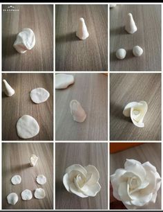 several pictures of white flowers and petals on a table