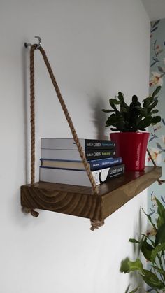 a shelf with books and a potted plant on it