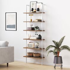 a living room filled with furniture and a potted plant on top of a wooden shelf