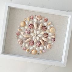 a white frame with sea shells in it