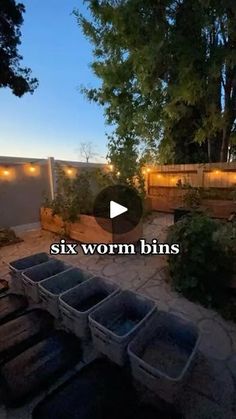 an outdoor garden with lots of plants and lights