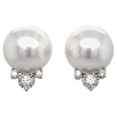 South Sea Pearls Earrings, White Gold Earrings Studs, White Gold Studs, White Pearl Earring, Pearl And Diamond Earrings, Sea Pearls, South Sea Pearls, Pearl Diamond, Gold Studs