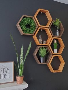 three wooden hexagonal shelves with plants on them