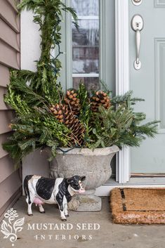 a black and white dog standing next to a planter with pine cones on it