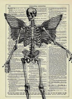 an old book page with a skeleton and wings