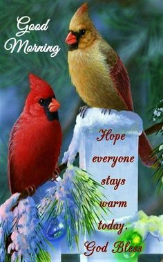 two birds sitting on top of a postcard with the words, good morning hope everyone stays warm today