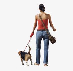 a woman walking her dog on a leash and looking at the ground with no shoes