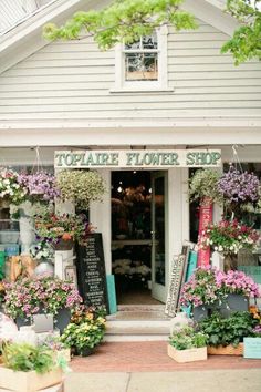 a flower shop with lots of flowers on display