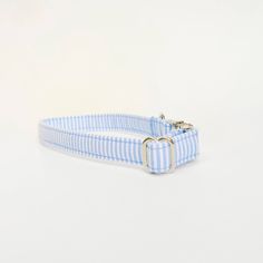 a blue and white striped dog collar on a white background