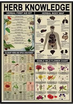 a poster with flowers and herbs in the shape of human torsos, including an image of