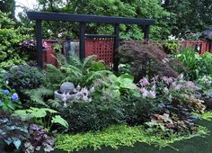 a garden filled with lots of different types of plants