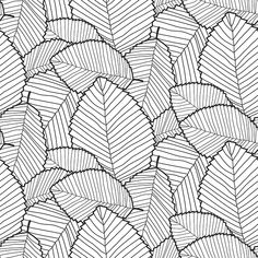 a black and white drawing of leaves with lines on the bottom, as well as an outline