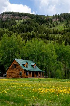 a log cabin sits in the middle of a field with wildflowers and trees