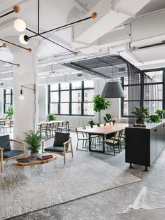 an open office with chairs, tables and plants on the walls in front of large windows