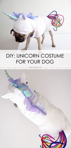 a pug dog dressed up in a unicorn costume for your dog is standing on top of a pillow