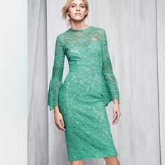 New- Lela Rose- Floral Corded Lace Bell Flounce Sleeved Fitted Dress. Size 6 Elegant Fitted Lace Dress For Garden Party, Elegant Green Lace Dress, Elegant Fitted Green Lace Dress, Elegant Green Lace Midi Dress, Green Feminine Formal Dress, Green Lace Midi Dress For Formal Occasions, Elegant Green Midi Dress For Garden Party, Elegant Green Midi Lace Dress, Feminine Green Evening Midi Dress