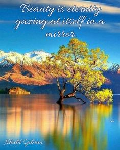 a tree in the middle of a lake with mountains in the background and a quote about beauty