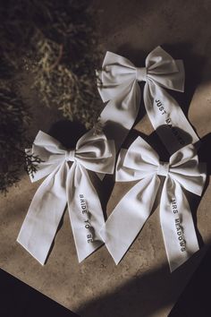 three white bows with words on them sitting next to a pine tree in the sun