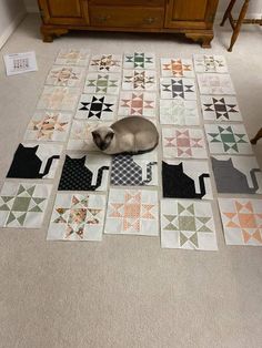 a cat is laying on the floor next to some quilts