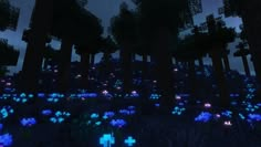 an image of some trees and plants in the dark night time with blue lights on them