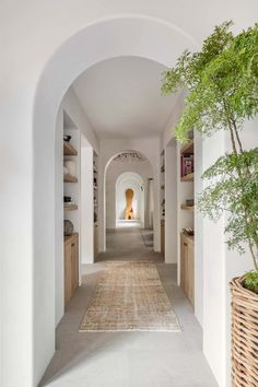 an archway leading to a living room with a potted plant