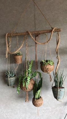 hanging planters with plants in them on the wall