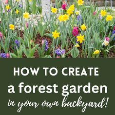 daffodils planted under a tree Woodland Landscaping Ideas, Woodland Landscaping, Woodland Backyard, Outdoor Yard Ideas, Food Forest Garden, Kids Backyard Playground, Cut Flower Garden, Whimsical Forest