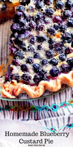 homemade blueberry custard pie on a table