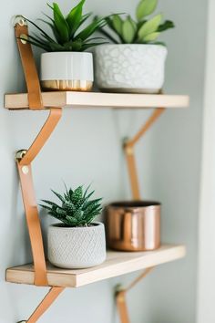 three wooden shelves with plants and pots on them, one has a leather strap around the edge