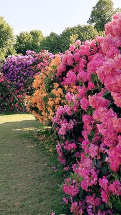 many different colored flowers line the side of a wall in a garden area with green grass and trees