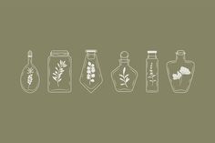 four bottles with plants in them on a green background, each containing different types of herbs