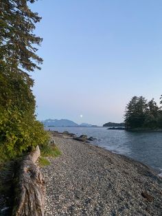 an empty beach next to some trees and water