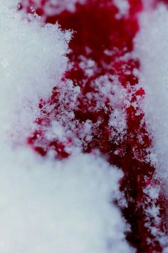 the snow is piled high on top of the red car door sill, and it appears to be melting