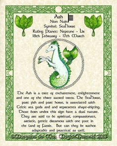 a certificate with an image of a green sea horse on it's front cover