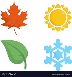 four different types of leaves and snowflakes