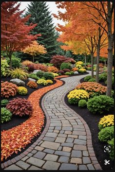 a pathway that is surrounded by trees and leaves