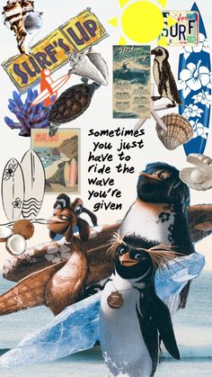 a collage of penguins and seagulls on the beach with words that say, sometimes you just have the wave you're given